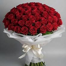 Букет 101 Красная роза Блэк Мэджик в Саяногорске
