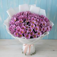 Букет цветов из:  Хризантемы в Саяногорске