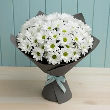 Букет цветов из:  Хризантемы #REPLACE_PRED# Саяногорске