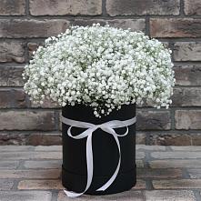 Цветочная композиция из Гипсофила в шляпной коробке #REPLACE_PRED# Саяногорске
