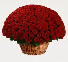 Премиум букет из: Розы #REPLACE_PRED# Саяногорске